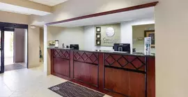 Comfort Inn & Suites San Antonio Airport | Teksas - San Antonio (ve civarı) - San Antonio - Kuzey San Antonio - SAT Havalimanı