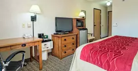 Comfort Inn & Suites Ponca City | Oklahoma - Ponca City (ve civarı) - Ponca City