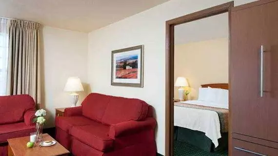 TownePlace Suites Indianapolis Park 100 | Indiana - Indianapolis (ve civarı) - Indianapolis