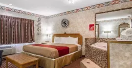 Rodeway Inn & Suites Wisconsin Madison-Northeast | Wisconsin - Madison (ve civarı) - Madison