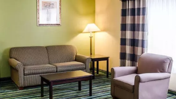 Quality Inn & Suites Medina | Ohio - Summit İlçesi - Akron (ve civarı) - Medina