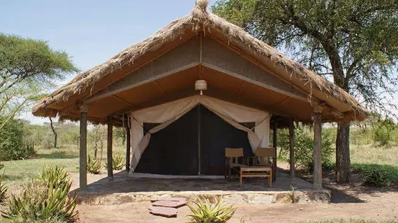 Ikoma Tented Camp | Serengeti Ulusal Parkı