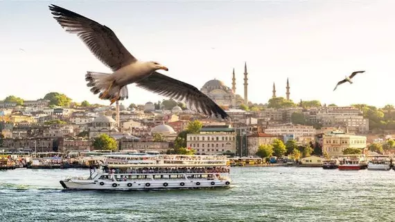 Old City Family |  Istanbul  - Fatih - Eski Şehir Merkezi