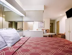 Econo Lodge Inn & Suites Evansville | Indiana - Evansville (ve civarı) - Evansville