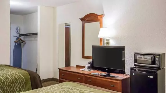 Quality Inn Opryland Area | Tennessee - Nashville-Davidson - Nashville (ve civarı) - Nashville - Opryland - Donelson