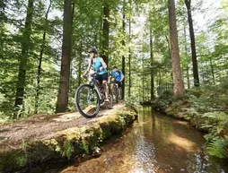 Ferienhotel Hubertus | Bavyera - Upper Palatinate (Yukarı Palatinate) - Bodenmais