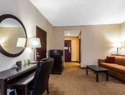 Comfort Suites Forrest City | Arkansas - Forrest City (ve civarı) - Forrest City