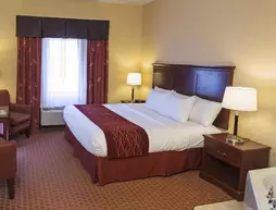 Comfort Inn Airport St. John's | Newfoundland and Labrador - Newfoundland - St. John's (ve civarı) - St. John's