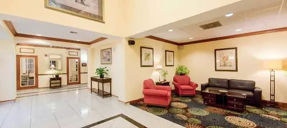 Holiday Inn Express Hotel & Suites Tampa-Fairgrounds-Casino | Florida - Tampa (ve civarı) - Tampa