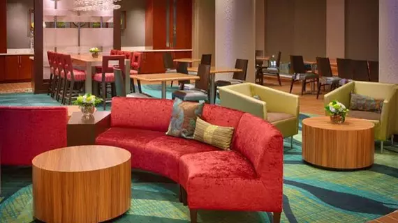 SpringHill Suites by Marriott Houston I-45 North | Teksas - Houston (ve civarı) - Houston