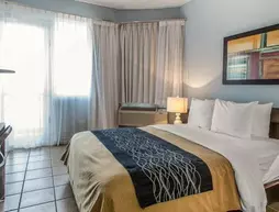 Comfort Inn Levittown | Pensilvanya - Bucks County - Philadelphia (ve civarı) - Levittown