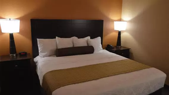 Best Western Plus Vermilion River Inn & Suites | Louisiana - Lafayette (ve civarı) - Lafayette