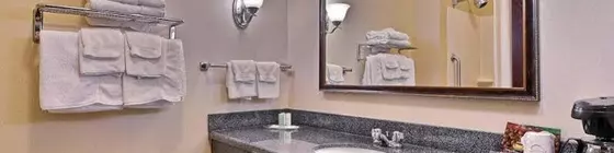 Comfort Suites Indianapolis Airport | Indiana - Indianapolis (ve civarı) - Indianapolis