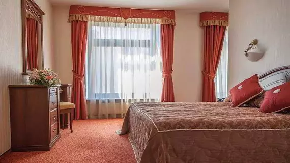 Smolninskaya Hotel | Leningrad Bölgesi - St. Petersburg (ve civarı) - St. Petersburg - Tsentralny