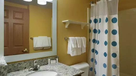 TownePlace Suites Tampa North I-75 Fletcher | Florida - Tampa (ve civarı) - Tampa - Temple Terrace