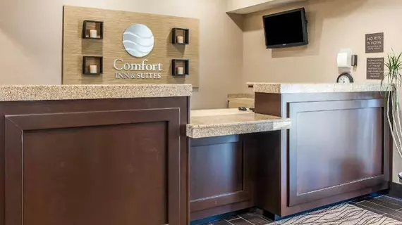 Comfort Inn and Suites | Kentucky - Lexington (ve civarı) - Mount Sterling