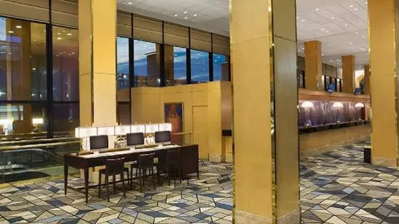 Hilton Chicago O'Hare Airport | İllinois - Chicago (ve civarı) - Bensenville - O'Hare