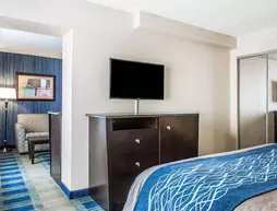 Comfort Inn & Suites Meriden | Connecticut - Hartford (ve civarı) - Meriden