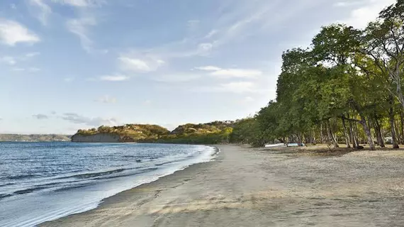 El Mangroove | Guanacaste - Papagayo - Panama Plajı