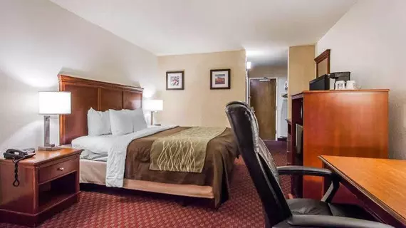 Quality Inn Opryland Area | Tennessee - Nashville-Davidson - Nashville (ve civarı) - Nashville - Opryland - Donelson