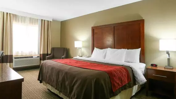 Comfort Inn & Suites Leeds | Alabama - Birmingham (ve civarı) - Leeds