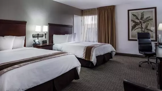 The Ahaneim Hotel | Kaliforniya - Orange County - Anaheim - Anaheim Resort