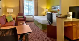 TownePlace Suites Denver Downtown | Kolorado - Denver (ve civarı) - Denver - Lincoln Park