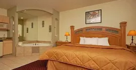 Comfort Inn Fountain Hills/Mayo Clinic | Arizona - Phoenix (ve civarı) - Fountain Hills