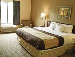 Comfort Inn & Suites Mishawaka | Indiana - South Bend (ve civarı) - Mishawaka