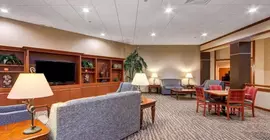 Holiday Inn Express Hotel and Suites Plano East | Teksas - Dallas (ve civarı) - Plano