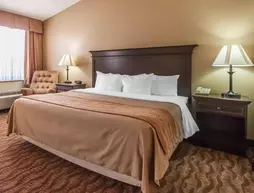 Comfort Inn at Thousand Hills | Missouri - Branson (ve civarı) - Branson