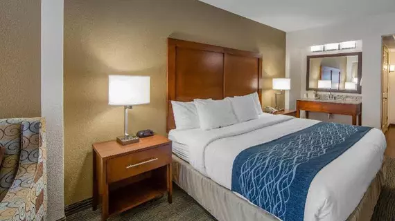 COMFORT INN APPLE VALLEY | Tennessee - Gatlinburg - Pigeon Forge (ve civarı) - Sevierville