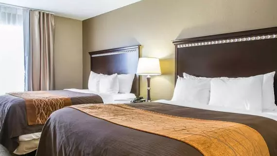 Comfort Inn & Suites Airport and Expo | Kentucky - Louisville (ve civarı) - Louisville