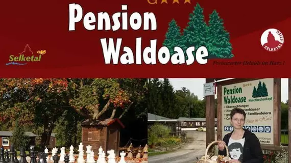 Pension Waldoase Hirschbuchenkopf | Saxony (Saksonya)-Anhalt - Harzgerode - Guentersberge