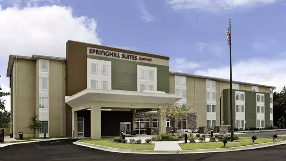 Springhill Suites Mobile | Alabama - Mobile (ve civarı) - Mobile