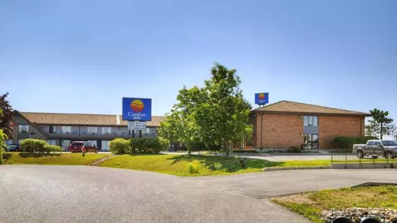 Comfort Inn Newmarket | Ontario - Toronto (ve civarı) - Newmarket