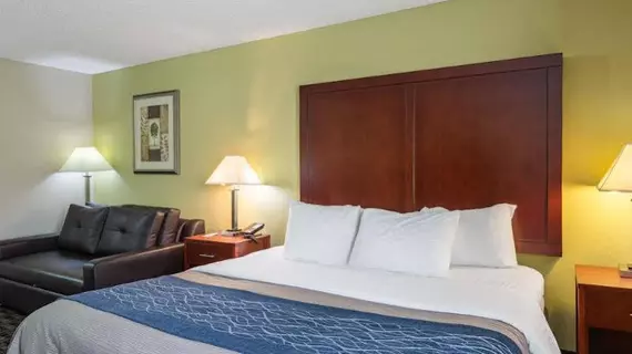 Comfort Inn Decatur | Alabama - Huntsville (ve civarı) - Decatur - Priceville