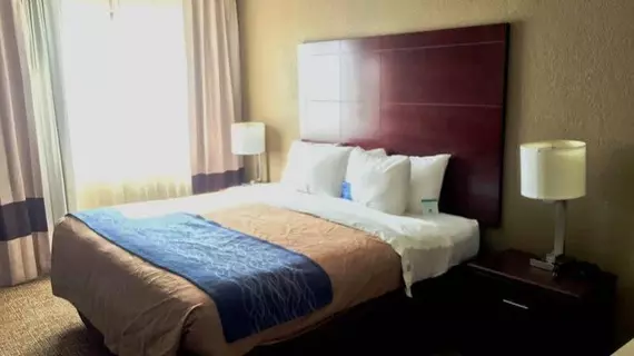 Comfort Inn Atlanta Downtown South | Georgia - Atlanta (ve civarı) - Atlanta