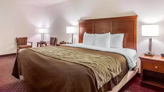 Quality Inn Opryland Area | Tennessee - Nashville-Davidson - Nashville (ve civarı) - Nashville - Opryland - Donelson