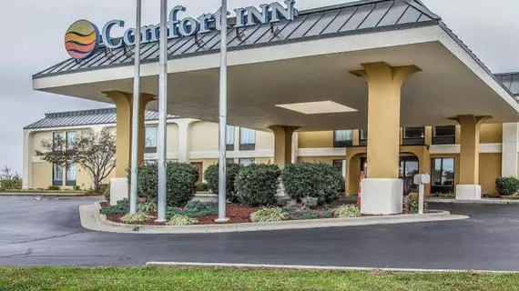 Comfort Inn Perryville | Missouri - Perryville (ve civarı) - Perryville