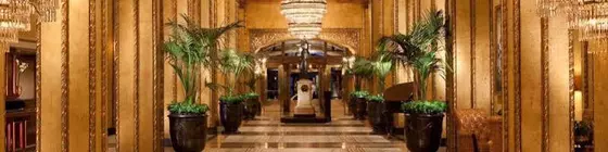 The Roosevelt Hotel New Orleans - Waldorf Astoria Hotels & Resorts | Louisiana - New Orleans (ve civarı) - New Orleans - Merkezi İş Bölgesi