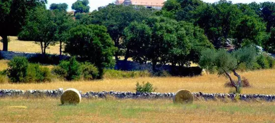 Victor Country Hotel | Puglia - Bari (il) - Alberobello