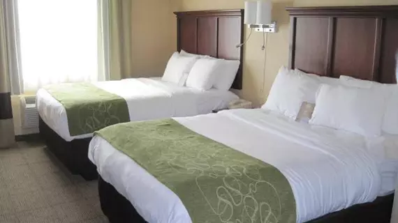 Comfort Suites - Columbia | Missouri - Columbia (ve civarı) - Columbia