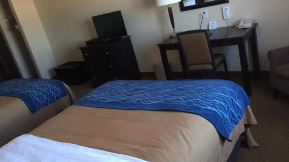 Comfort Inn & Suites Edson | Alberta - Edson