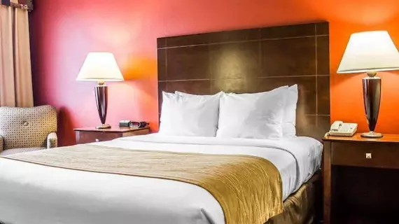 Comfort Inn & Suites Dayville | Connecticut - Willington (ve civarı) - Dayville