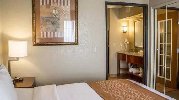 Comfort Suites Sea World/ Lackland | Teksas - San Antonio (ve civarı) - San Antonio - Batı San Antonio