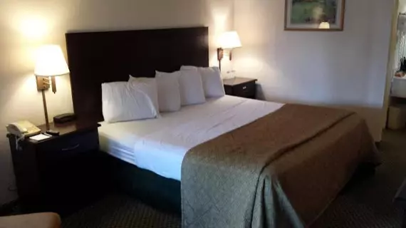 Vista Inn & Suites Tampa | Florida - Tampa (ve civarı) - Tampa