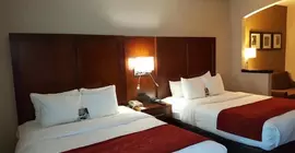 Comfort Suites Salisbury | Kuzey Karolayna - Lexington - Salisbury (ve civarı) - Salisbury