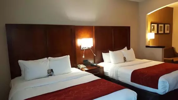 Comfort Suites Salisbury | Kuzey Karolayna - Lexington - Salisbury (ve civarı) - Salisbury