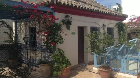 Hostal Plaza Santa Cruz | Andalucia - Seville İli - Sevilla - Casco Antiguo